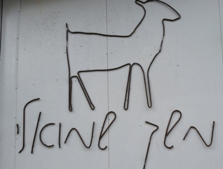 יום כיף בשפלת יהודה