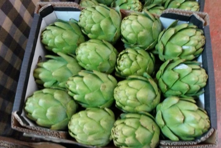 יום כיף בשפלת יהודה