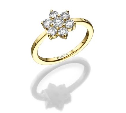 חגיגת וולנטיין בתכשיטי היוקרה בלום Bloom