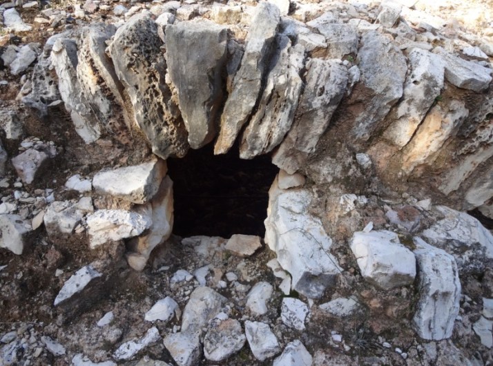 סיור במפעל מעדני יחיעם