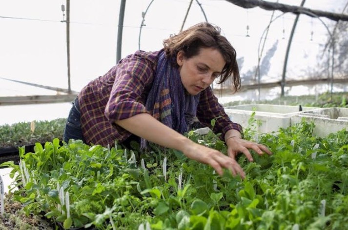שתי ארוחות חורף מיוחדות במטבח של רמה