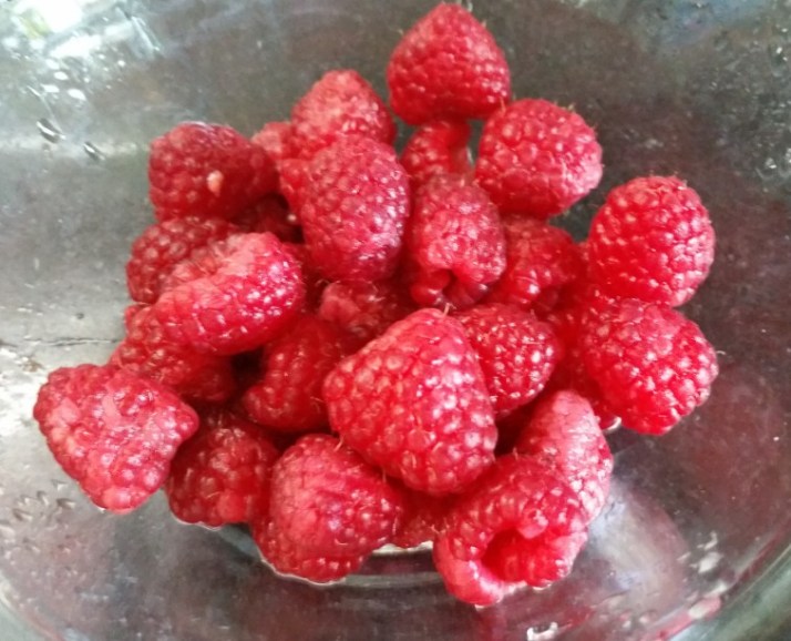 שיבולת שועל אורגנית, תבשיל קינואה וסוכר קוקוס - מוצרי בריאות מבית תבואות