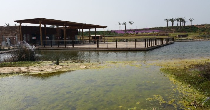 סיור בפארק אריאל שרון