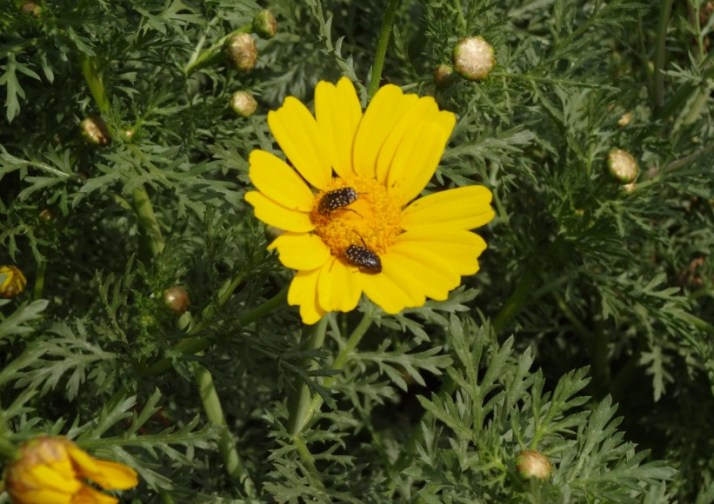 סיור בפארק אריאל שרון
