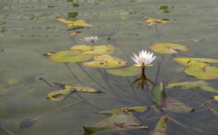 סיור בפארק אריאל שרון