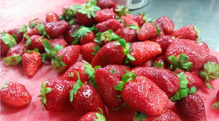 סדנת בישול בריא עם יוניליוור