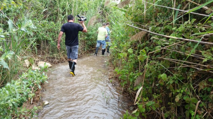 טיול בעמק המעיינות ובילוי בסחנה