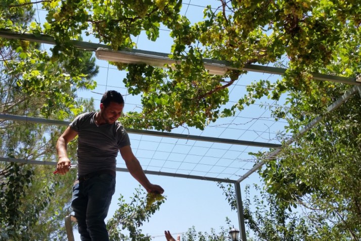 סיור בחוות טור סיני