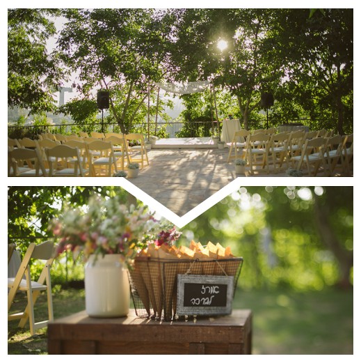 סיור בחוות טור סיני