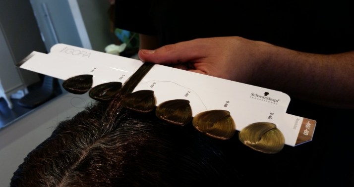 צבעי השיער החדשים של שוורצקופף פרופשיונל IGORA ROYAL Absolutes by Schwarzkopf Professional  