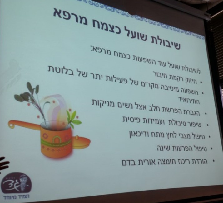 מחלבות גד משיקה מעדן שיבולת שועל לארוחת בוקר מאוזנת