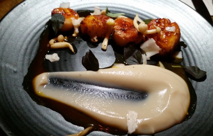 פלימרקט בפשפשים