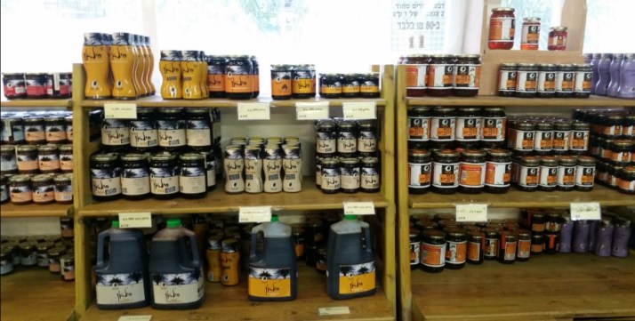 השקת מרכז המבקרים החדש של תמר כנרת