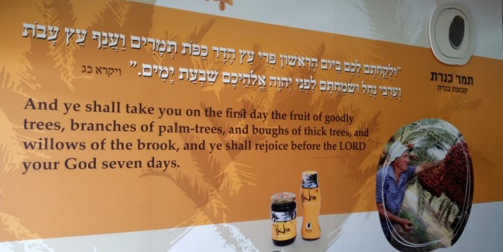 השקת מרכז המבקרים החדש של תמר כנרת