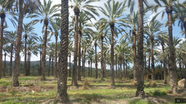 השקת מרכז המבקרים החדש של תמר כנרת