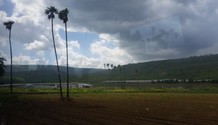 השקת מרכז המבקרים החדש של תמר כנרת