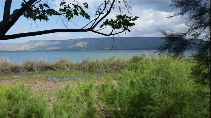 השקת מרכז המבקרים החדש של תמר כנרת