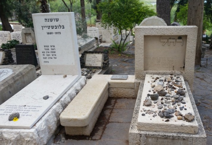 השקת מרכז המבקרים החדש של תמר כנרת