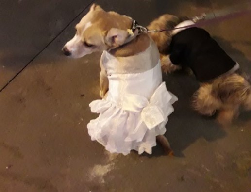 הבאר של סבא - קיץ 2017