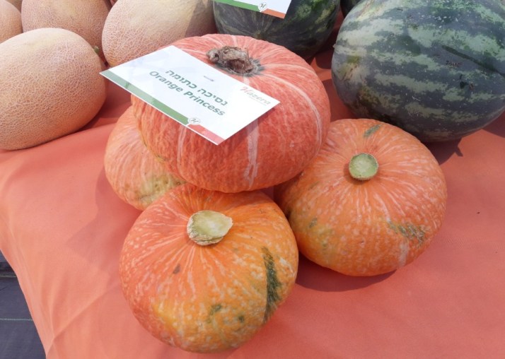 חברת "הזרע" מציגה את החידושים והזנים שיככבו בקיץ 2017 Hadarling Lifestyle Blog