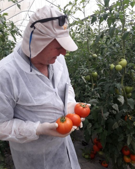 חברת "הזרע" מציגה את החידושים והזנים שיככבו בקיץ 2017 Hadarling Lifestyle Blog