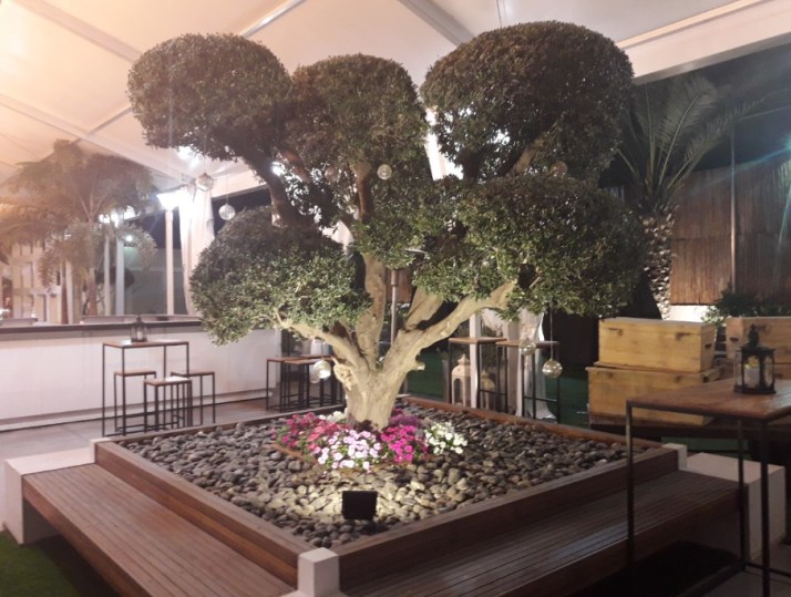 טרוסא אירועים