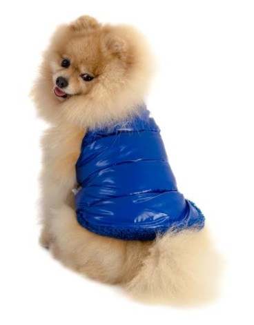 מותג האופנה RIBOS מבית ביופט משיק את קולקציית הביגוד החדשה לכלבים לעונת החורף 2017-2018