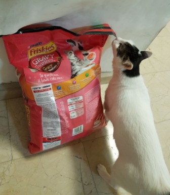 לראשונה בישראל מזון יבש בתיבול עשיר - פריסקיז EXTRA קראנץ'