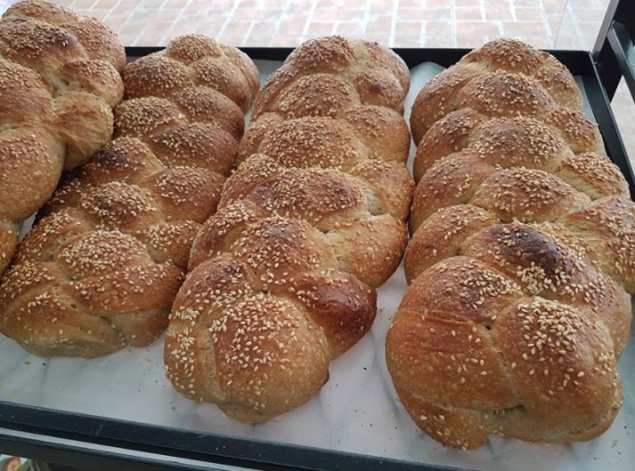 פת שטינבך – מאפיה חשמלית בחיפה