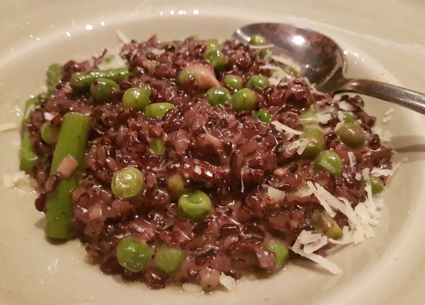 חדש במסעדת הצדף תפריט ערב עשיר עם מנות קטנות במחירים נוחים