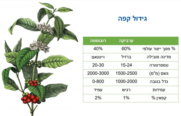 מרכז הדרכה וחנות חדשה במפעל לנדוור בחולון