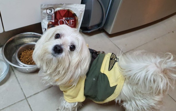 פורינה ONE, המותג המצליח מאירופה, מגיע לישראל