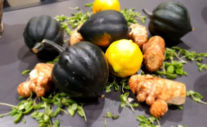 השקת אולם תצוגה חדש של כפיר נילסן