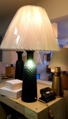 ביקור דקורטיבי בפרפקט אהילים