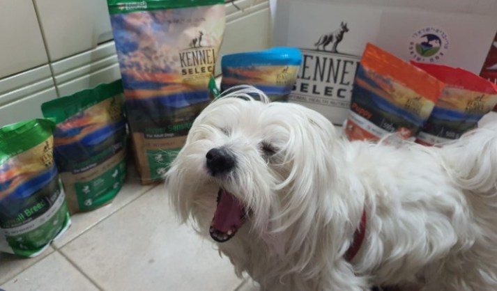 חדש מצמח ישראפט Kennel Select Hyper Sensitive מזון סופר פרמיום לכלבים מחלבון העתיד